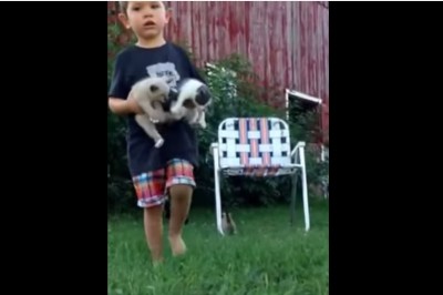 Chłopiec próbuje opanować kocią rodzinę. Sposób w jaki to robi jest niesamowicie słodki! 