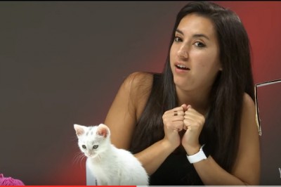 Ci ludzie twierdzili,że nienawidzą kotów! Kiedy dostali ich całe pudełko byli naprawdę w szoku!