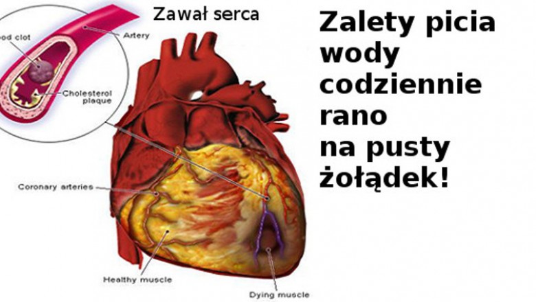 Codziennie rano pij 4 szklanki wody na pusty żołądek! Zobacz jak zmienia się przemiana materii! 