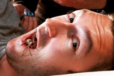 Czy połykamy pająki podczas snu? Ten koleś postanowił to sprawdzić! 