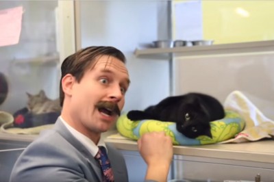 Facet sprzedaje bezdomne koty jak używane auta! Robi to niesamowicie! 