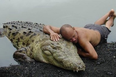 Facet zaprzyjaźnił się z 6 metrowym krokodylem któremu uratował życie!