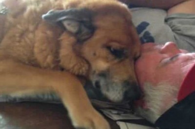 Gdy odszedł ich ukochany pies byli załamani! Dwa dni później otrzymali znak, że wszystko jest OK!