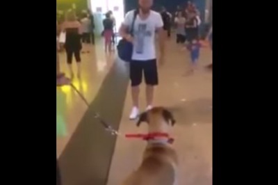 Gdy zobaczył swojego pana po 3 latach zamarł w bezruchu! Jak podszedł bliżej, totalnie oszalał!