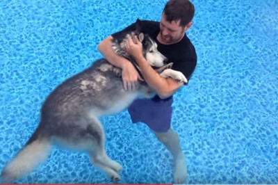 Jego pies stracił czucie w łapach! To co właściciel dla niego zrobił wzruszy każdego! 