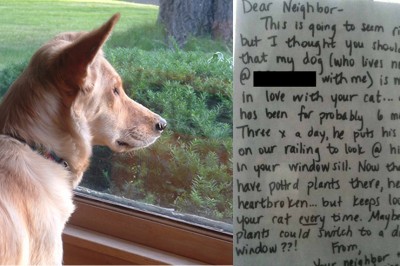 Jej pies gapił się w okno godzinami ze złamanym sercem! Nagle na oknie pojawiła się ta notatka! 