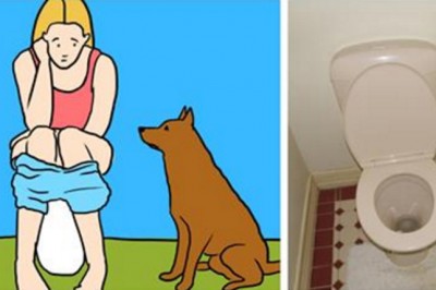 Jeśli Twój pies zawsze chodzi z Tobą do łazienki to znaczy, że chce przekazać bardzo ważna wiadomość!