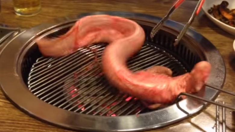 Klienci restauracji zaczęli panikować! Martwy węgorz ożył gdy kucharz posypał go solą!