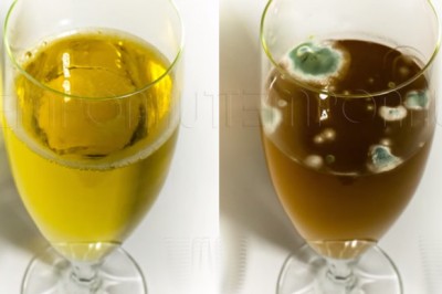 Kto w ogóle tak robi? Zobacz co się stanie z otwartym piwem po 60 dniach!