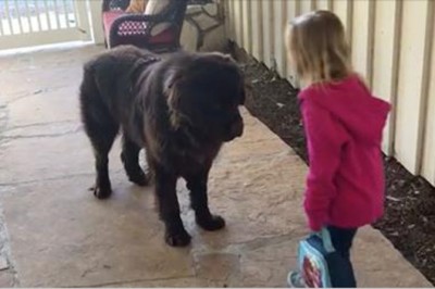 Mama nagrywa jak córka, żegna się ze swoim psem! Tylko spójrz, co ta dwójka wyprawia!   