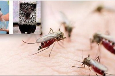 Masz dość komarów? Ta najlepsza  pułapka domowej roboty sprawi, ze nie będzie z nimi problemu! 