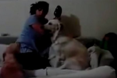 Matka chciała uderzyć swoje dziecko! Teraz zobacz błyskawiczną reakcję psa w obronie malucha! 