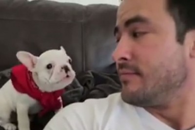 Odwrócił się do swojego psa i powiedział mu, że jest przytojny! Reakcja zwierzaka jest przesłodka! 