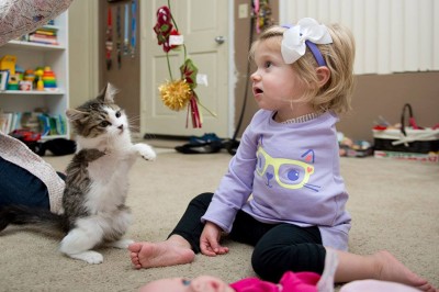 Ona straciła rękę jej nowy kot stracił łapkę! Ich przyjaźń pomaga przetrwać ciężkie chwile! 
