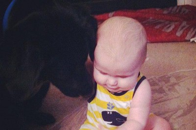 Opiekunka znęcała się nad 7 miesięcznym dzieckiem! Rodzice dowiedzieli się o tym dzięki swojemu psu!