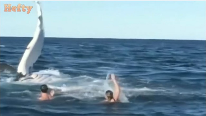 Para kąpie się w morzu kiedy nagle ten olbrzym wynurza się z głębin! Ależ im zazdroszczę tej adrenaliny!