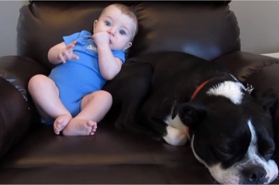 Pies grzecznie pilnował tego maluszka! Nagle uciekł przerażony gdy stało się TO!