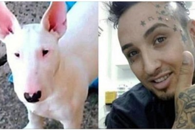 Pies zmienił się nie do poznania gdy jego właściciel wytatuował mu pysk! Nie uwierzysz czemu to zrobił! 