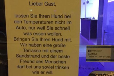 Po kolejnej śmierci psa w rozgrzanym aucie postanowił zrobić TO. Niesamowita sprawa.