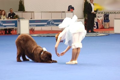 Pokłoniła się swojemu psu na środku sceny! Odpowiedź psa zszokowała wszystkich! 