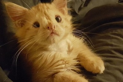 Powiedzieli, że jest zbyt brzydki by ktoś go pokochał! Gdy go zobaczyłam stwierdziłam, że jest przesłodki!