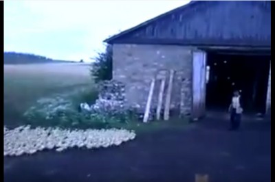 Poznajcie facet który jest prawdziwym władcą drobiu! Radziecka szkoła magi! 