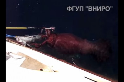 Rosyjscy rybacy nagrali spotkanie z morskim potworem.  Jego rozmiar mnie zszokował!