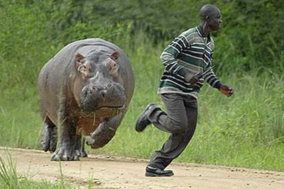 Siniaki, blizny i odgryzione palce! Czyli ludzie, którzy poznali siłę zwierząt!