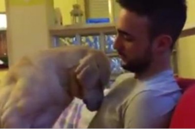 Skruszony pies przeprasza swojego właściciela! Zaskoczy Cię sposób w jaki prosi o wybaczenie!