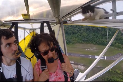 Skąd on się tam wziął?! Niespodziewany pasażer na gapę podczas lotu :D