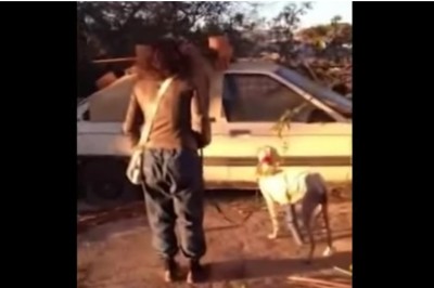 Suczka ze złamaną łapą prowadzi weterynarza na odludzie! Trzy kilometry dalej znajduje jej sekret! 