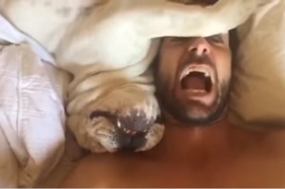 Ta reakcja sprawiła, że płaczę ze śmiechu! Właściciel budzi psa który odpowiada mu jak człowiek!