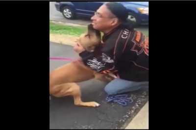 Te nagranie wzruszy dosłownie każdego! Pies odnajduje swojego właściciela po 2 latach rozłąki! 