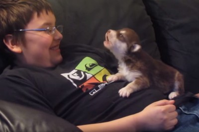 Ten mały Husky uczy się wyć wraz ze swoim właścicielem. Przesłodcy! 