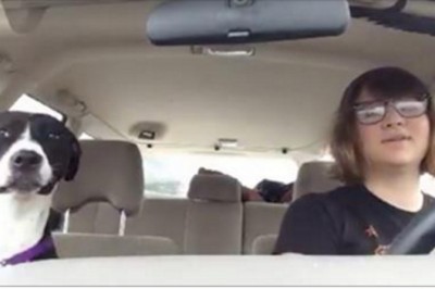 To miała być zwykła przejażdżka z psem! Zobacz co się stało gdy, w radiu poleciała pewna piosenka! 