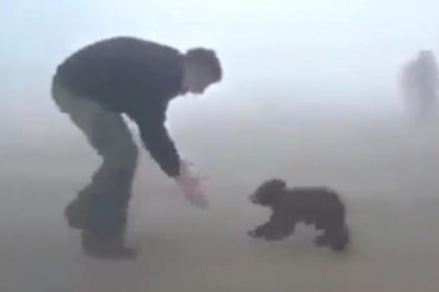 Uratowali małego niedźwiadka z płonącego lasu! Wtedy zwierzak się odwrócił i niezwykle podziękował wybawcy!