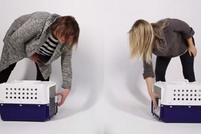 W jednaj klatce były koty, a w drugiej psy! Gdy końcu się spotkały ich reakcja była przecudna! 