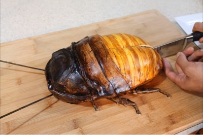 Wbiła nóż w wielkiego karalucha! Nie uwierzysz co znalazła w środku gdy go rozkroiła! 