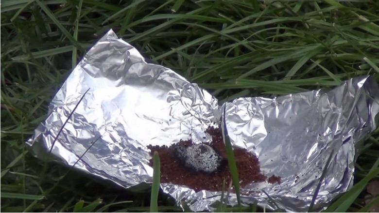 Wysypał kawę na folie aluminiowa i podpalił w ogrodzie! Będziesz zaskoczona jaki uzyskał efekt!