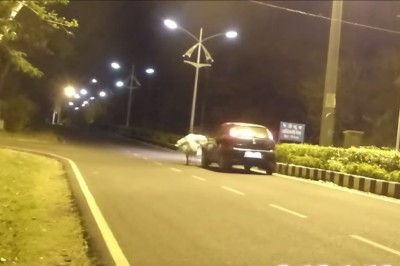 Żart z duchami poszedł niesamowicie źle, kiedy rozpędzone auto się nie zatrzymało! 