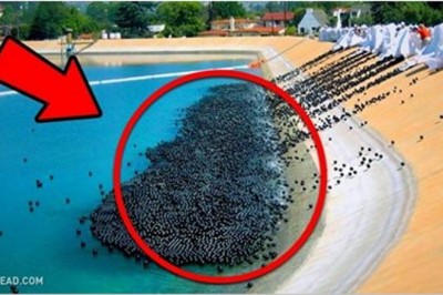 13 zaskakujących pomysłów które świetnie się sprawdziły w życiu! Zobacz jak można zmienić miasto!