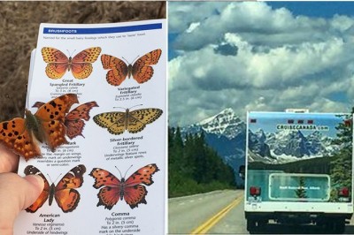 Sytuacje których prawdopodobieństwo zdarzenia się jest bliskie zera! Ciężko uwierzyć, w taki zbieg okoliczności! 