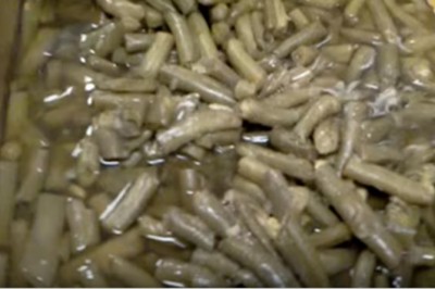 Pracownicy pokazali jak wygląda KFC „od kuchni”! Szokujące nagranie dosłownie wykręca żołądki!