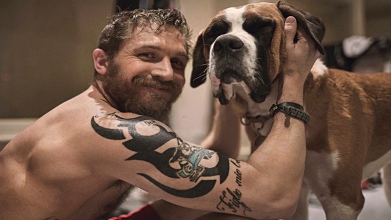 Tom Hardy i jego psiaki! Te niezwykłe zdjęcia chwycą Cię za serce i nie dasz rady oderwać wzroku!