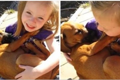 Rodzina zaadaptowała psa ze schroniska! Po kilku dniach wychodząc do ogrodu zobaczyli coś zaskakującego! 