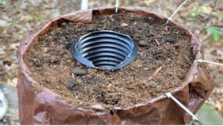 Włożyła do doniczki plastikową rurę i owinęła siatką! Jak zobaczyłam efekt końcowy to zaniemówiłam!