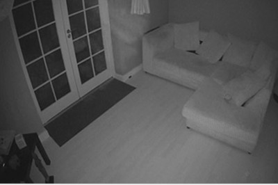 Ustawił w salonie kamerę, żeby sprawdzić czy psy nie rozrabiają! Jak odtworzył nagranie, był przerażony