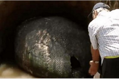 Rolnik znajduje metrowe „jajo dinozaura” na swoim polu! Gdy je odkopali poznali zaskakującą prawdę!