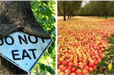 Te zdjęcia udowadniają, że natura potrafi tworzyć piękne rzeczy bez udziału człowieka! Czasem brutalnie! 