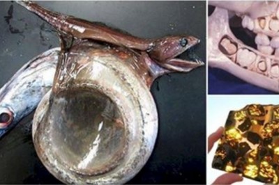 23 zapierające oddech zdjęcia, których większość ludzi w życiu nie widziała! 8 Cię zaskoczy!